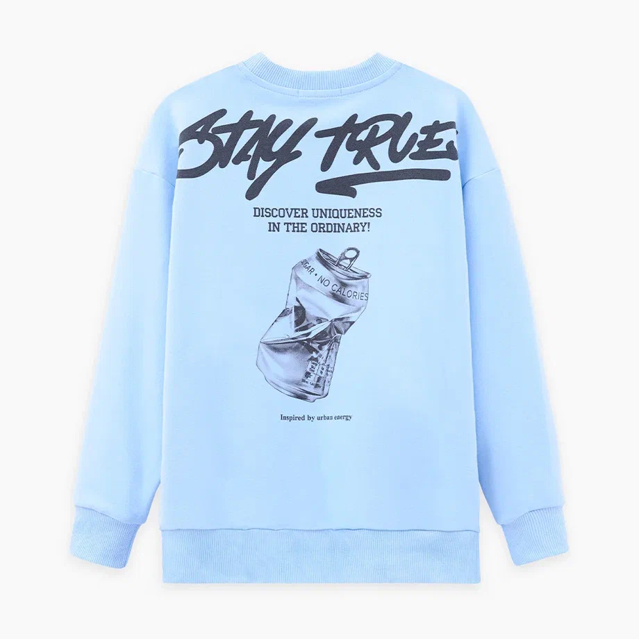 Голубой свитшот для мальчика купить